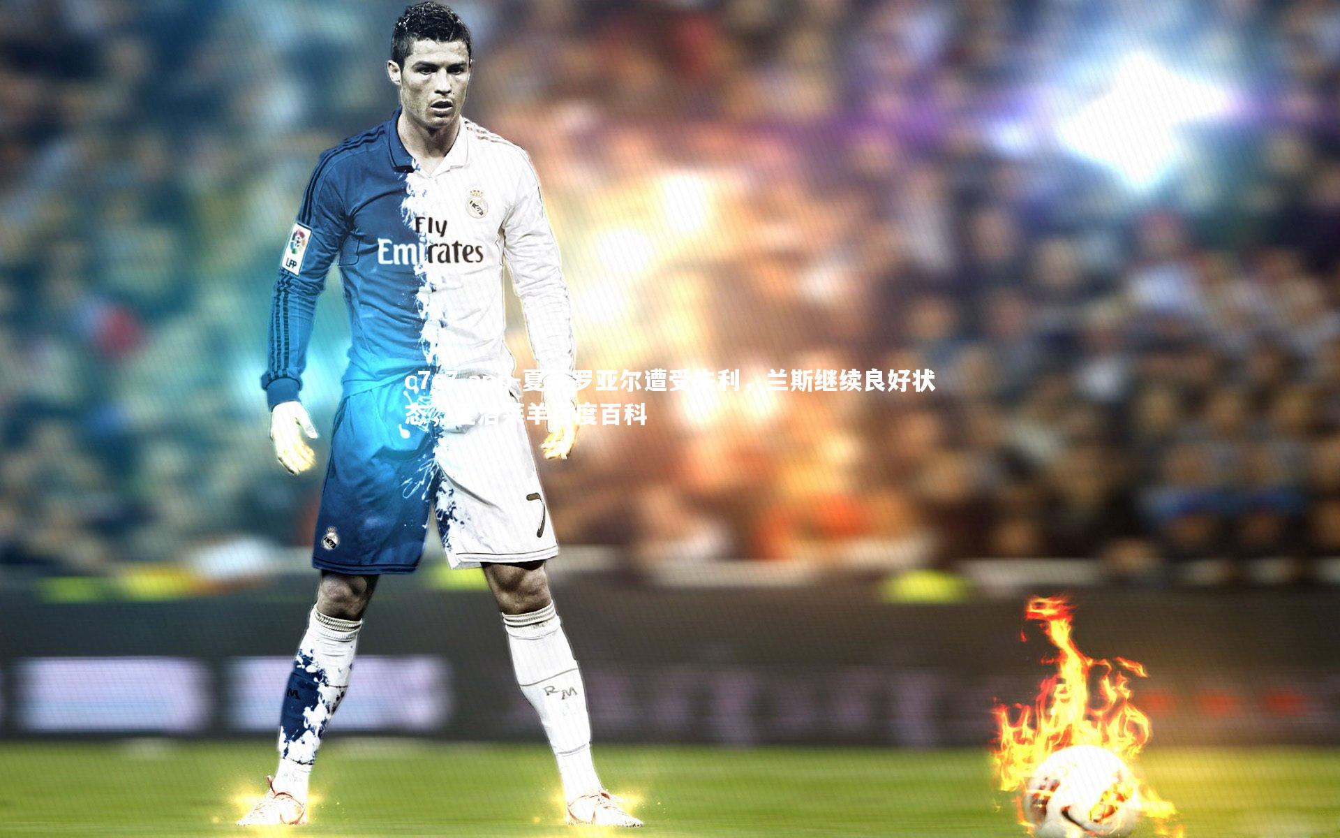 夏莱罗亚尔遭受失利，兰斯继续良好状态，夏洛莱羊百度百科