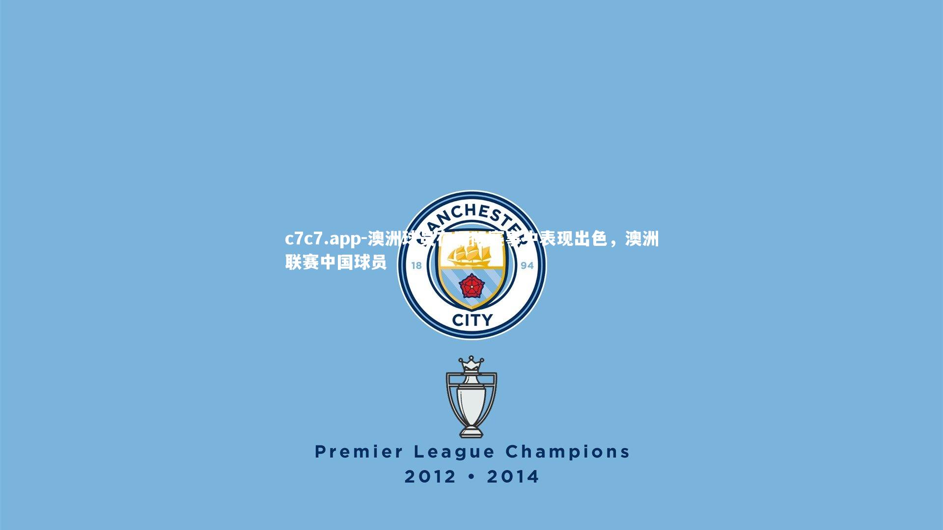 澳洲球员在国际赛事中表现出色,澳洲联赛中国球员